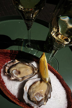 Oesters op een zonnige dag