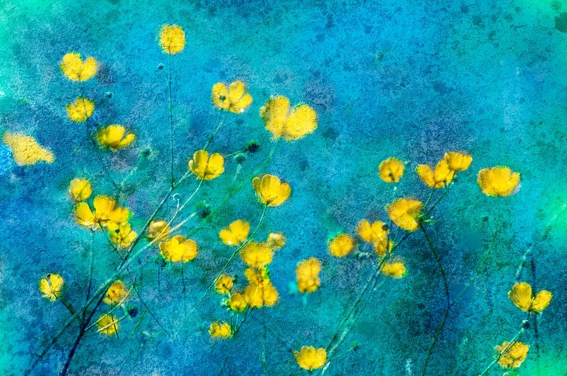 Boterbloemen artistiek van Corinne Welp