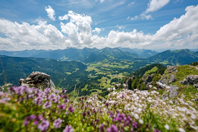 Blumige Aussicht vom Sorgschrofen auf das Oberjoch und die Allgäuer Alpen von Leo Schindzielorz
