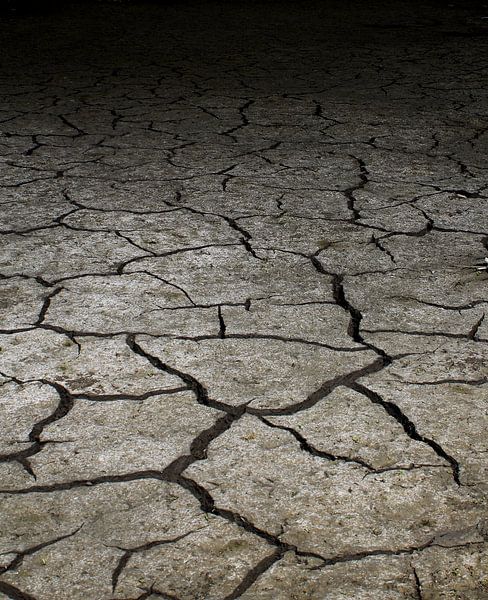 Sol déshydraté par Sanne van Gelder