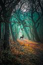 duin bos, hert van Pieter Heine thumbnail