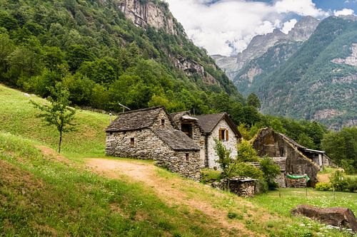 Sonogno - Huizen tegen de Berghelling