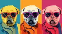 Warhol: Pug Pop Trio