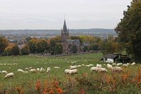 Uitzicht vanaf de Sint Pietersberg
