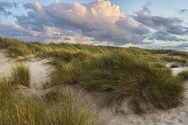 Abendstimmung in den Dünen von Zeeland von Rolf Schnepp