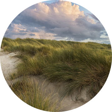 Avondsfeer in de Zeeuwse duinen van Rolf Schnepp