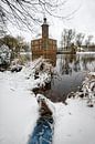 Sneeuwlandschap met kasteel en been van Chi thumbnail