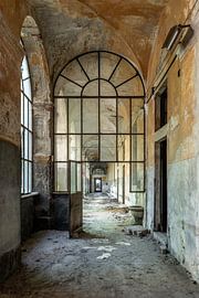 Manicomio Di R von William Linders