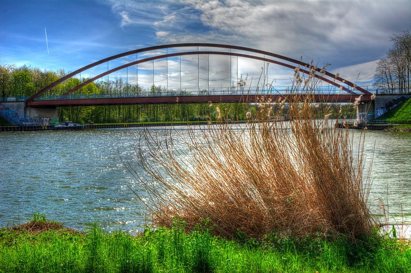 Roseaux de la mer de Datteln par Edgar Schermaul