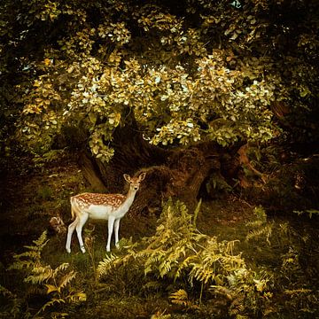 Strike a Pose van Lars van de Goor