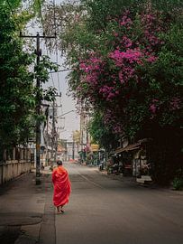 Mönch in Chiang Mai – Straße mit Bougainvillea-Blüten von Thea.Photo