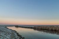 Winter op het Wad