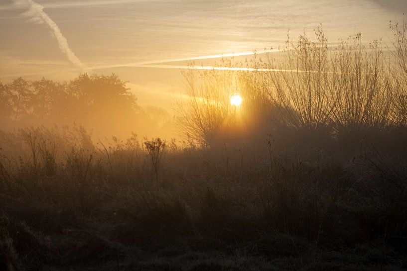 Sunrise by ton vogels