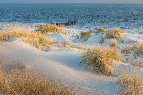 Ochtendstemming in de duinen van het natuurgebied Ellenbogen, Sylt