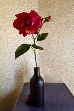 Rode roos in zwarte fles van Susan Hol