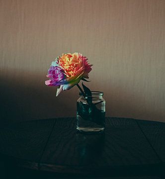 Stilleven, gekleurde bloem in glazen potje van Jan Diepeveen
