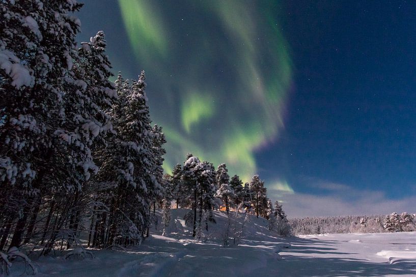 Nordlichter von Rene Wolf