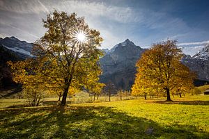 Herbststimmung am "Grossen Ahornboden"