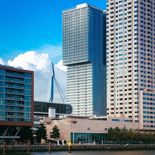 Wilhelminapier Rotterdam