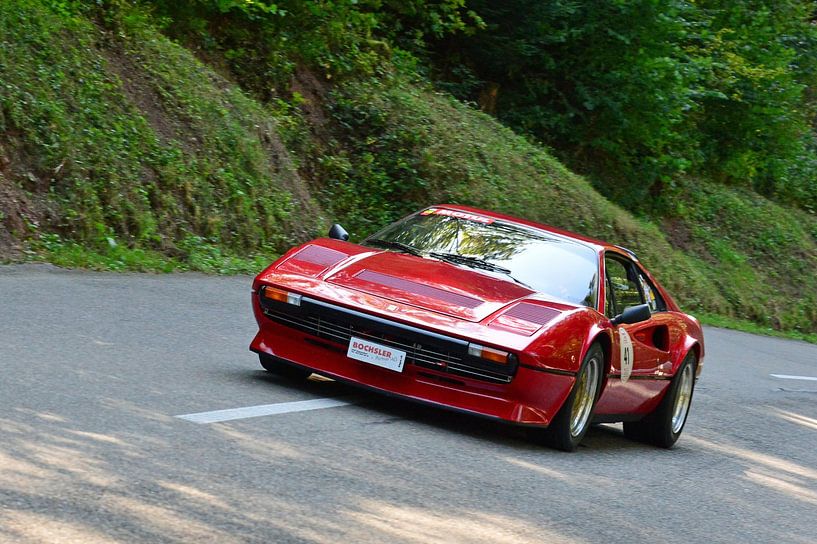 Ferrari 308 GTB Resina Eggberg Classic 2019 van Ingo Laue