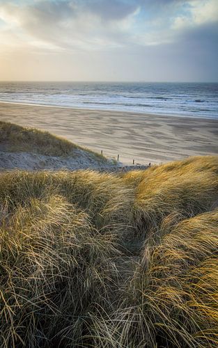 Strand en duin, zee en wind, golven langs de kust!