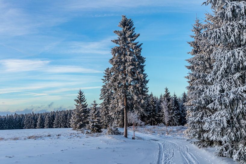 First winter hike on the Rennsteig by Oliver Hlavaty