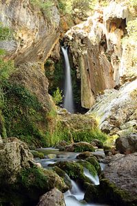 Le saut à l'eau