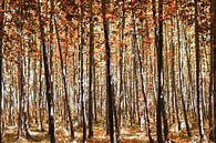 Forêt rouge d'automne par Miranda van Hulst Aperçu