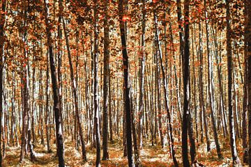 Forêt rouge d'automne sur Miranda van Hulst