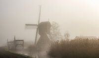 Moulin hollandais dans le brouillard