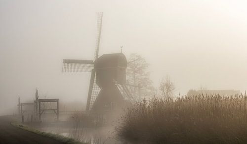 Holländische Mühle im Nebel von Connie de Graaf