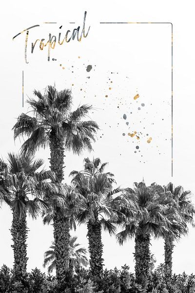 Palm Impressie | Tropisch van Melanie Viola
