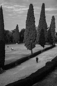 Morgengewohnheiten in der Villa Borghese