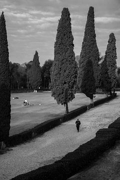 Ochtendrituelen in Villa Borghese van Martijn Jebbink Fotografie