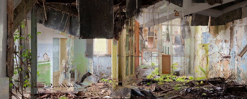 Gebrochene Schönheit von Caroline Boogaard