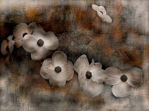 Melancholie der Blumen