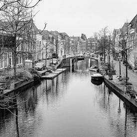 Stadgezicht Leiden van Henk Verheyen