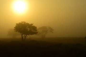 Misty sunrize