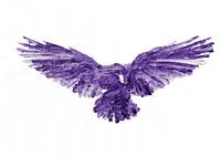 Acrylic Bird