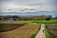Landschaft