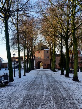 Winters nach Harderwijk's Vischpoort