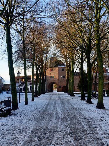 Winters naar de Vischpoort van Harderwijk van Gerard de Zwaan