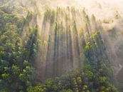 Mistige zonsopkomst boven het Drents Friese-Wold van Droninger thumbnail