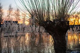 Winterlicher Sonnenuntergang von mtalent photographyandmore