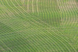 Crete Senesi by Walter G. Allgöwer