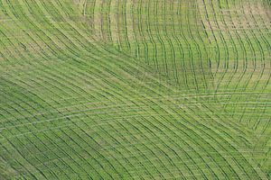 Crete Senesi