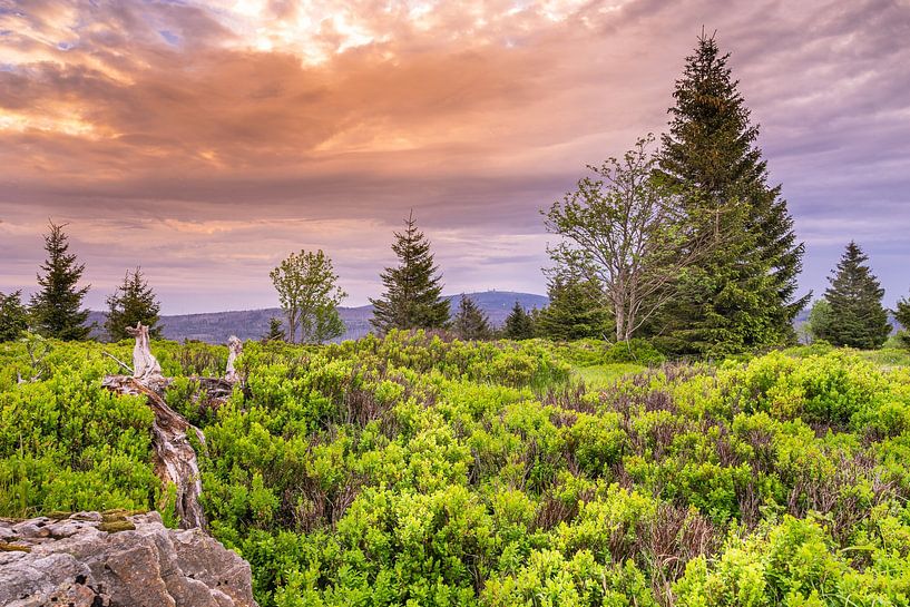 Vue sur le Brocken depuis le Sonnenberg par Steffen Henze
