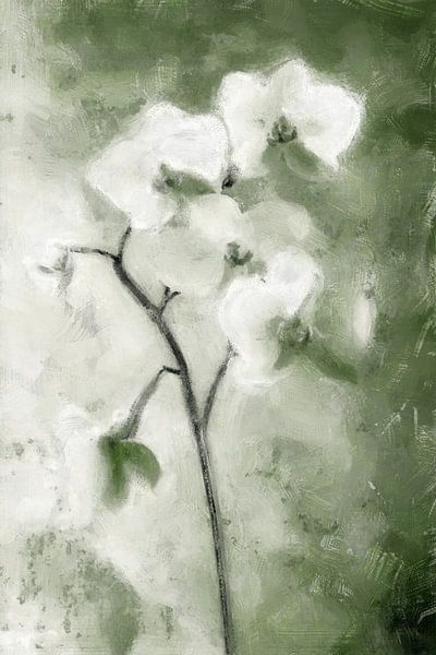 White Orchid | Green by Kanzo