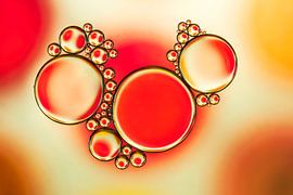 Bulles sur Carola Schellekens