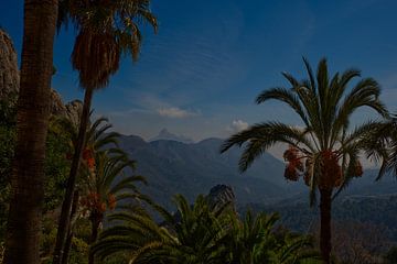 Uitzicht op een tropisch landschap met groene bergen en palmbomen. van Edith van Aken